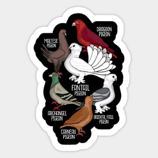 Pigeon Breeds King Pigeon Lover Men Pigeons Sticker